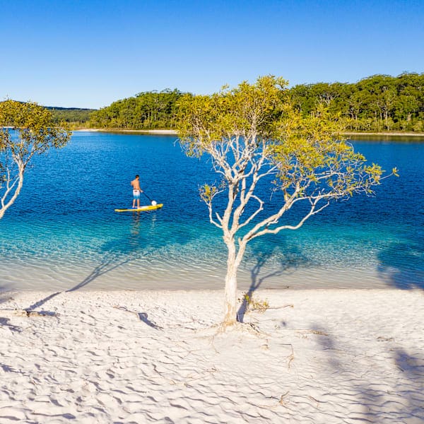 Australian Vanlife: East Coast & Sunkissed Wonders!