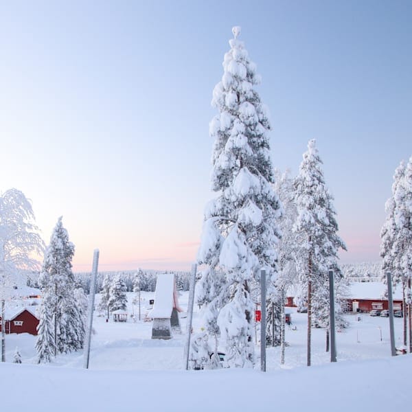 Noorwegen & Finland: arctische route naar Rovaniemi