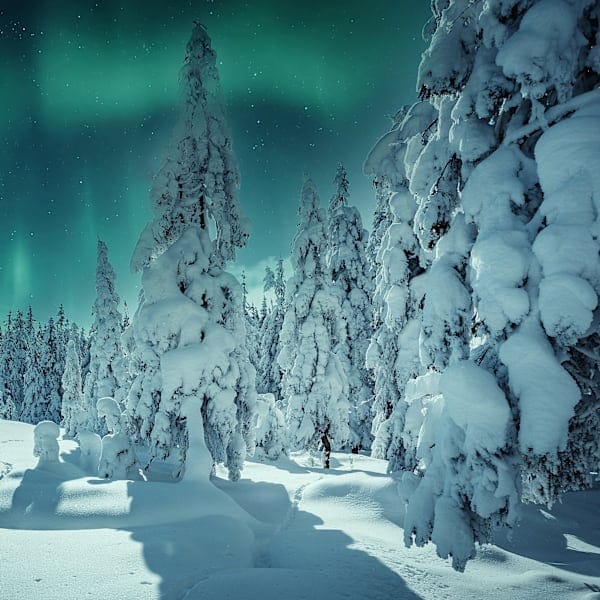 Finland signature: in een iglo onder het noorderlicht