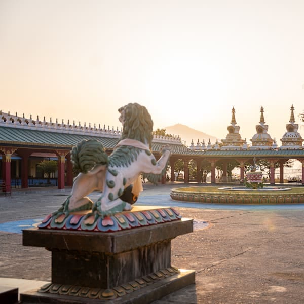 Nepal intens: local living op het dak van de wereld