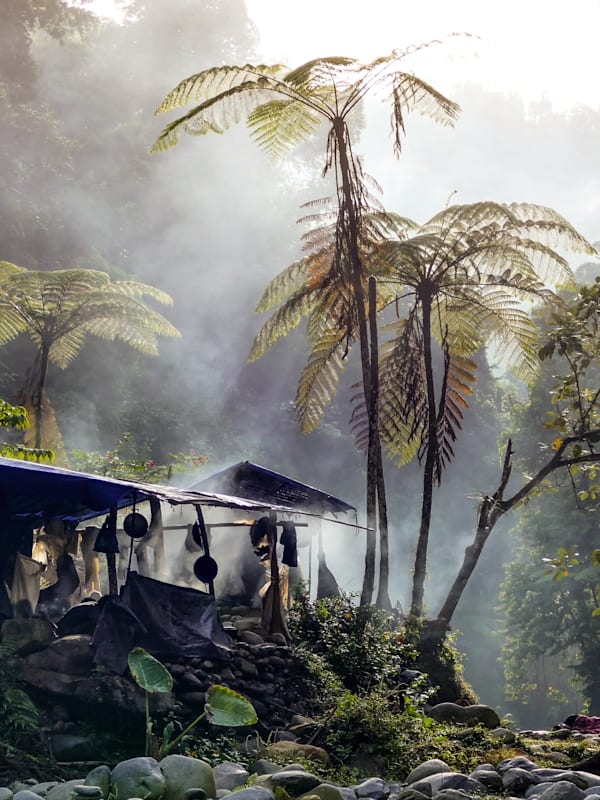 Wild Sumatra