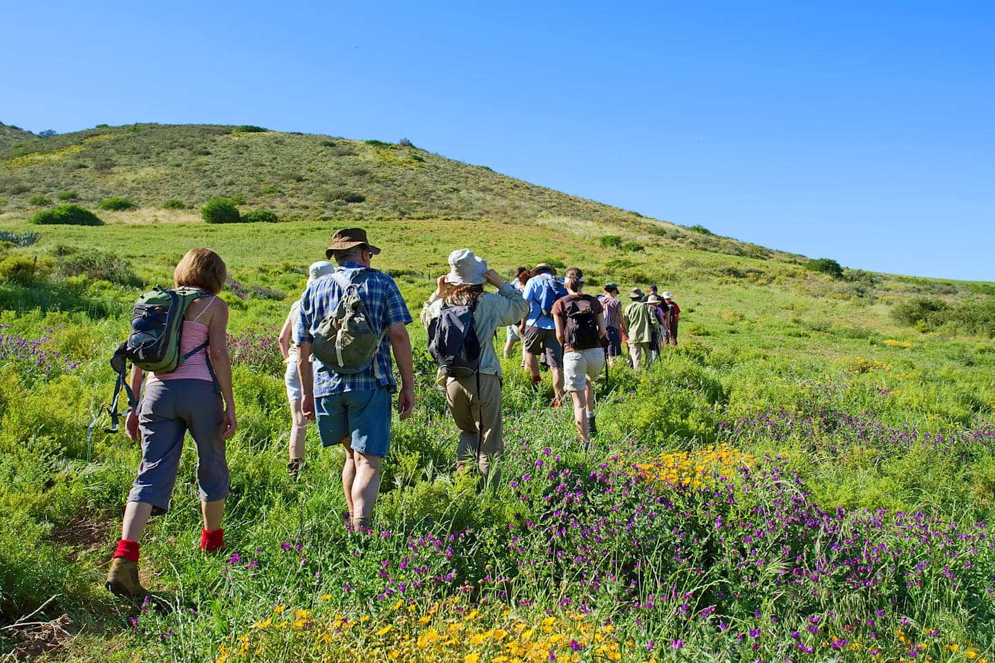 Halbtägige Naturwanderung & Weinverkostung thumbnail