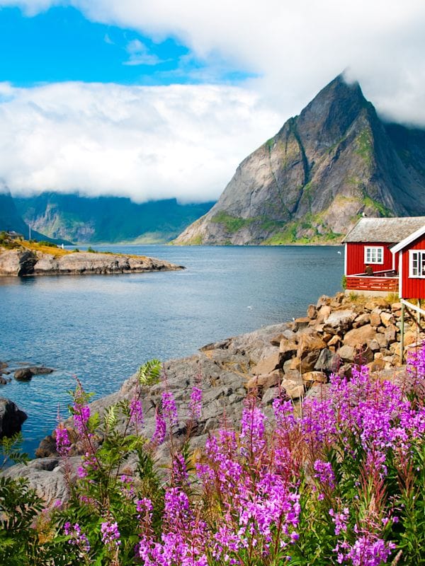 Lofoten Roadtrip