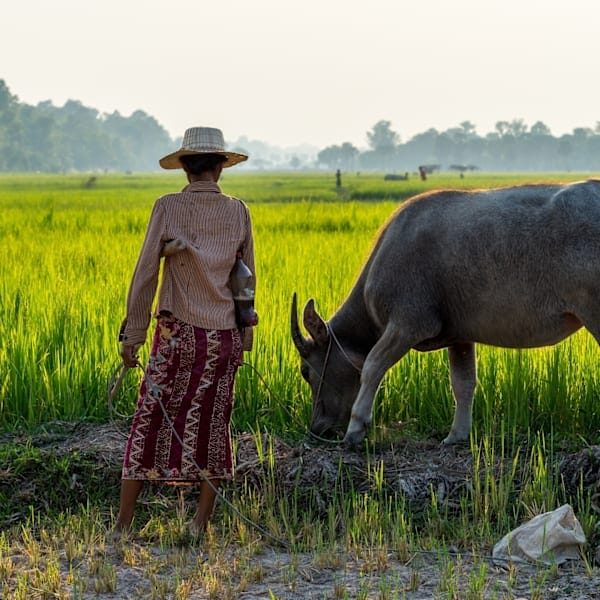 Southeast Asia adventure: Sandy toes and city glows