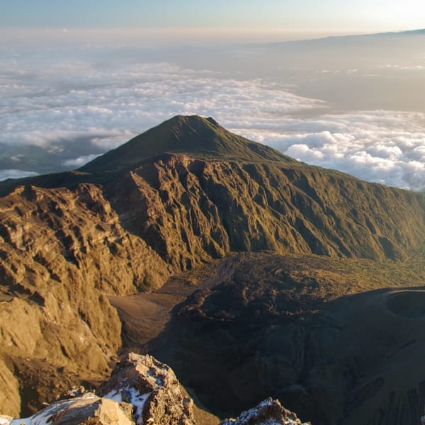 Tansania Adventure: Meru Trekking, Safari & Sansibar