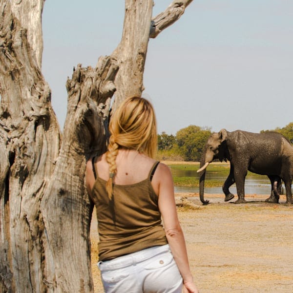 Tansania & Sansibar: Safari Adventure meets Beach Escape